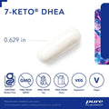 7-Keto DHEA