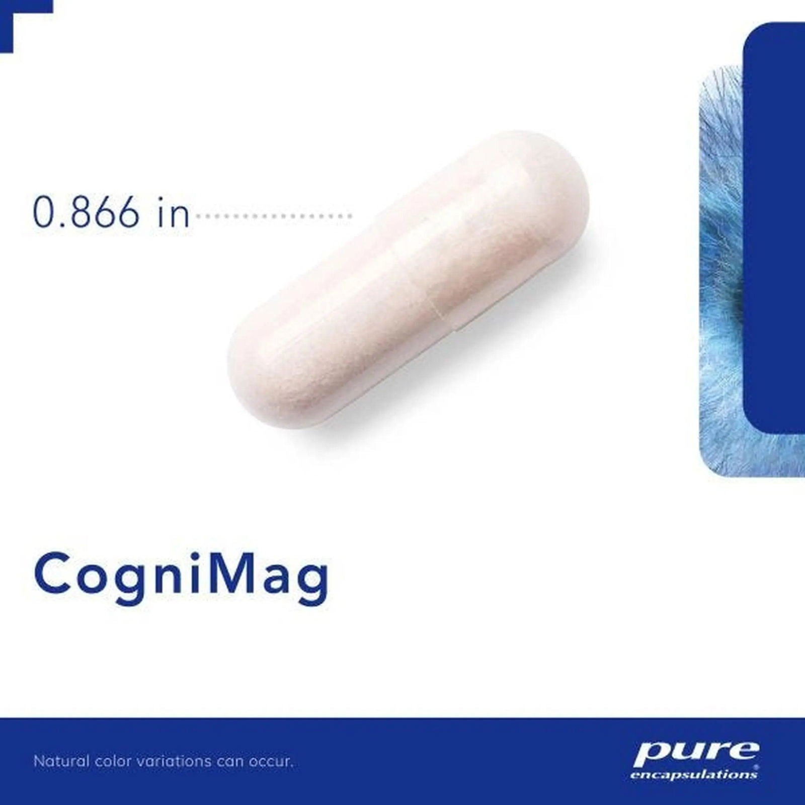 CogniMag 120's - ROCK RIDGE PHARMACY