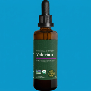 Valerian by Global Healing – Organic Valerian Root Sleep Liquid at Rock Ridge Pharmacy